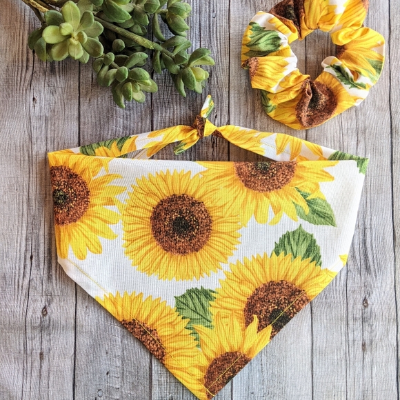 SUNFLOWER 🌻 Dog Bandana with Hair Scrunchie! - Picture 8 of 11